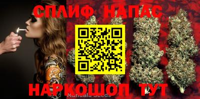 дурь Нальчик