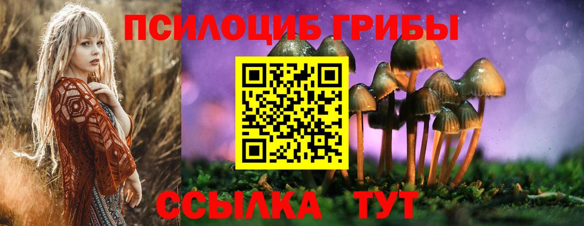 Галлюциногенные грибы GOLDEN TEACHER  Вход с VPN  Серов  Галлюциногенные грибы мицелий 
